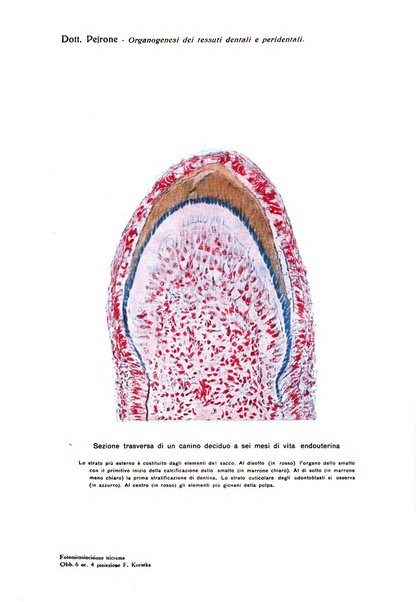 Annali di clinica odontoiatrica e dello Istituto superiore George Eastmann