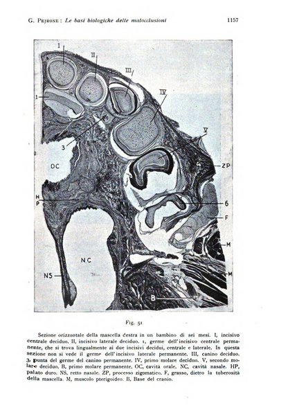 Annali di clinica odontoiatrica e dello Istituto superiore George Eastmann