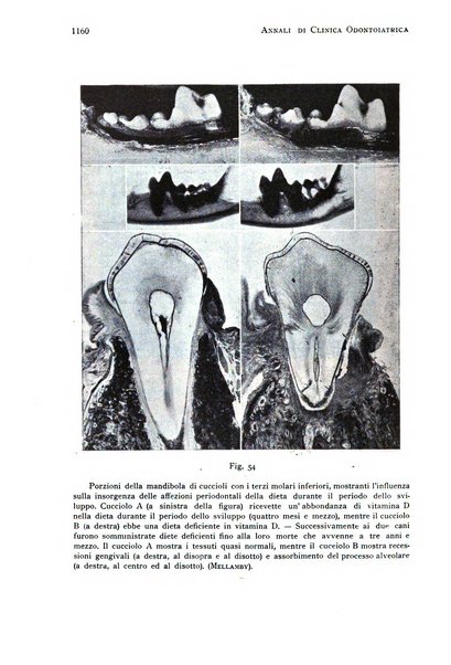 Annali di clinica odontoiatrica e dello Istituto superiore George Eastmann