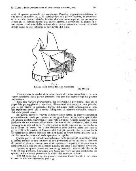 Annali di clinica odontoiatrica e dello Istituto superiore George Eastmann