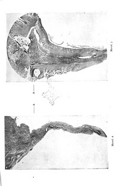 Annali di clinica odontoiatrica e dello Istituto superiore George Eastmann