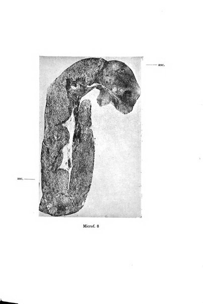 Annali di clinica odontoiatrica e dello Istituto superiore George Eastmann