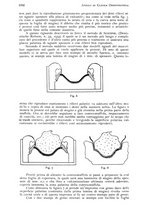 giornale/RML0023062/1935/unico/00001042