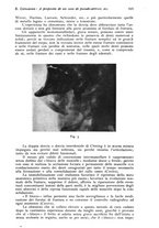 giornale/RML0023062/1936/unico/00000541