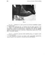 giornale/RML0023062/1937/unico/00000372
