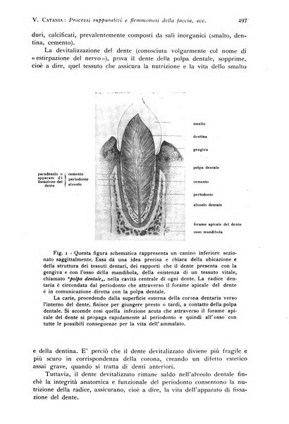 Annali di clinica odontoiatrica e dello Istituto superiore George Eastmann