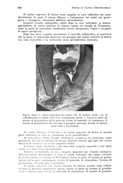 Annali di clinica odontoiatrica e dello Istituto superiore George Eastmann