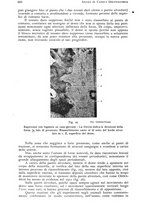 giornale/RML0023062/1937/unico/00000638