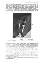 giornale/RML0023062/1937/unico/00000724