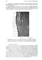 giornale/RML0023062/1937/unico/00000866