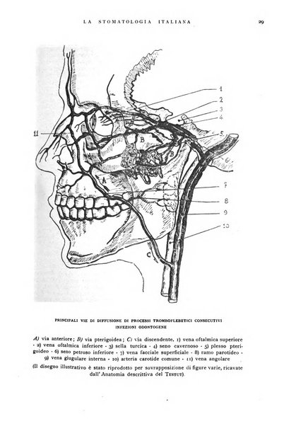 La stomatologia italiana organo ufficiale della Associazione nazionale culturale fascista stomato-odontologica