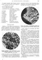 giornale/RML0023157/1939/unico/00000495
