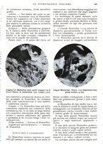 giornale/RML0023157/1939/unico/00000501