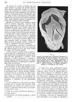 giornale/RML0023157/1939/unico/00000578