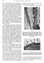 giornale/RML0023157/1939/unico/00000580