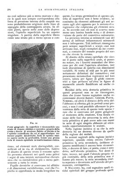 La stomatologia italiana organo ufficiale della Associazione nazionale culturale fascista stomato-odontologica