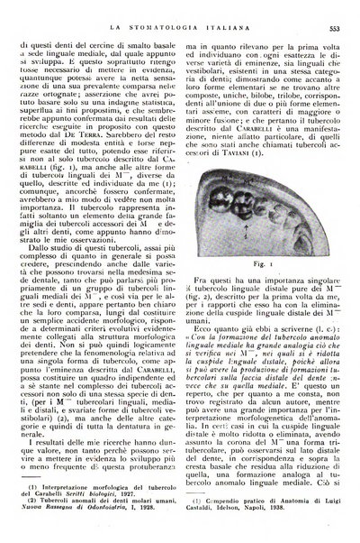 La stomatologia italiana organo ufficiale della Associazione nazionale culturale fascista stomato-odontologica