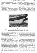 giornale/RML0023157/1939/unico/00000819