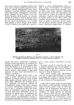 giornale/RML0023157/1939/unico/00000821
