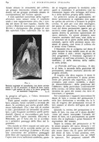 giornale/RML0023157/1939/unico/00000924