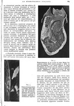 giornale/RML0023157/1939/unico/00000927