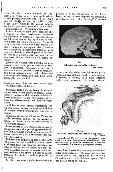 La stomatologia italiana organo ufficiale della Associazione nazionale culturale fascista stomato-odontologica