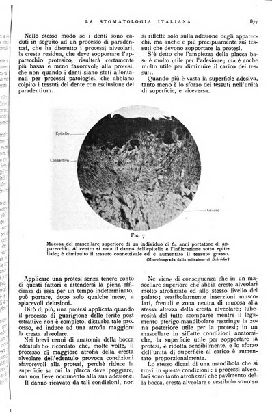 La stomatologia italiana organo ufficiale della Associazione nazionale culturale fascista stomato-odontologica