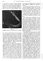 giornale/RML0023157/1939/unico/00001068