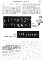 giornale/RML0023157/1939/unico/00001113