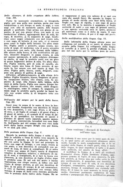 La stomatologia italiana organo ufficiale della Associazione nazionale culturale fascista stomato-odontologica