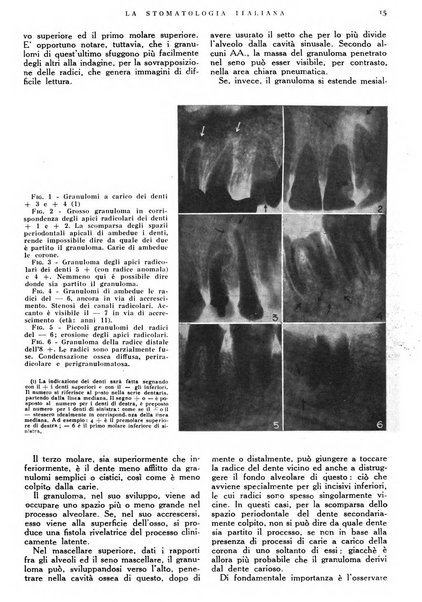 La stomatologia italiana organo ufficiale della Associazione nazionale culturale fascista stomato-odontologica