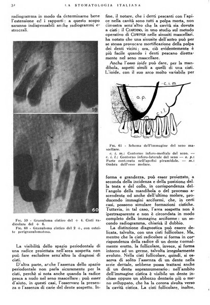 La stomatologia italiana organo ufficiale della Associazione nazionale culturale fascista stomato-odontologica