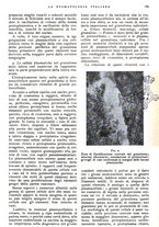 giornale/RML0023157/1940/unico/00000199