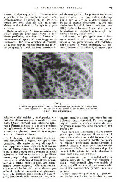 La stomatologia italiana organo ufficiale della Associazione nazionale culturale fascista stomato-odontologica