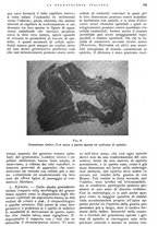 giornale/RML0023157/1940/unico/00000203