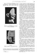 giornale/RML0023157/1940/unico/00000521