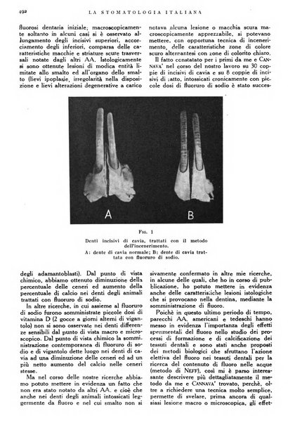 La stomatologia italiana organo ufficiale della Associazione nazionale culturale fascista stomato-odontologica