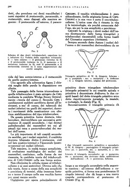 La stomatologia italiana organo ufficiale della Associazione nazionale culturale fascista stomato-odontologica