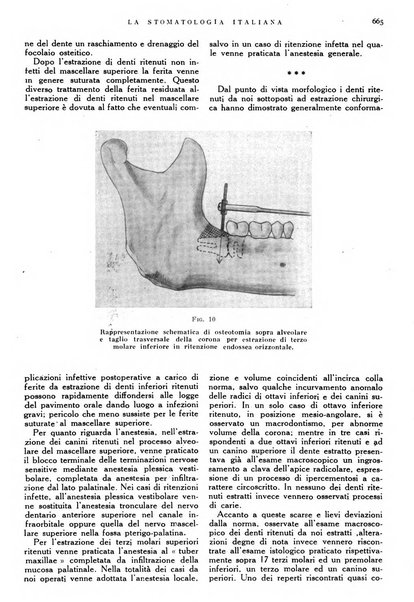 La stomatologia italiana organo ufficiale della Associazione nazionale culturale fascista stomato-odontologica