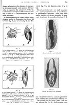 giornale/RML0023157/1940/unico/00000913