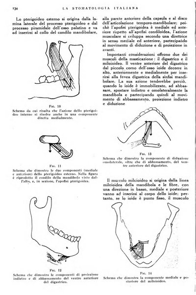 La stomatologia italiana organo ufficiale della Associazione nazionale culturale fascista stomato-odontologica