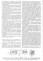 giornale/RML0023157/1941/unico/00000204