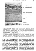 giornale/RML0023157/1941/unico/00000283