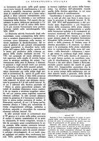 giornale/RML0023157/1941/unico/00000293