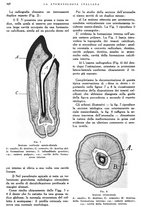 giornale/RML0023157/1941/unico/00000320