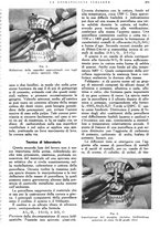 giornale/RML0023157/1941/unico/00000385