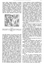 giornale/RML0023157/1941/unico/00000393