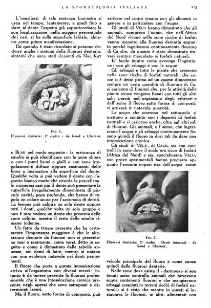 La stomatologia italiana organo ufficiale della Associazione nazionale culturale fascista stomato-odontologica