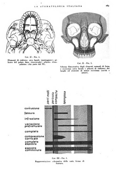 La stomatologia italiana organo ufficiale della Associazione nazionale culturale fascista stomato-odontologica