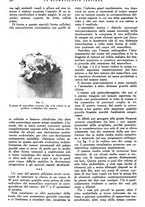 giornale/RML0023157/1942/unico/00000572